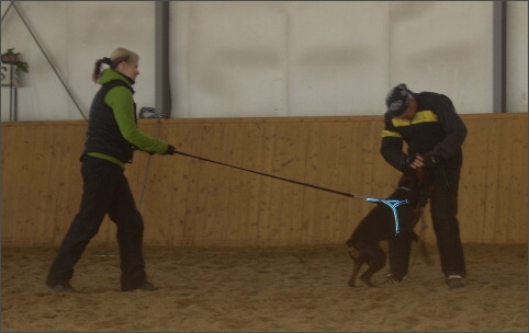 Training in Finland 11/2007